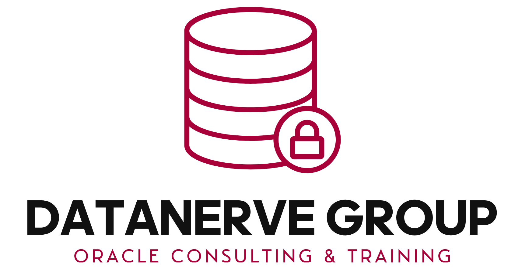 DATANERVE Logo
